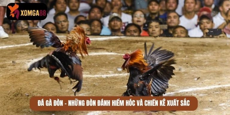 đá gà đòn