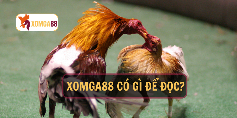 Hội Ga88 có gì để đọc?
