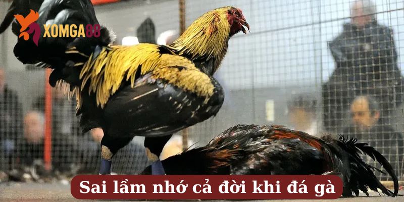 kinh nghiệm cược gà