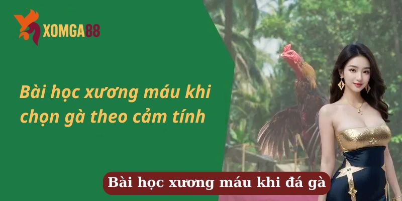 kinh nghiệm cược gà