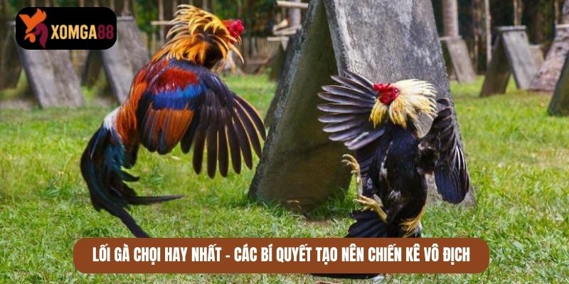 lối gà chọi hay nhất