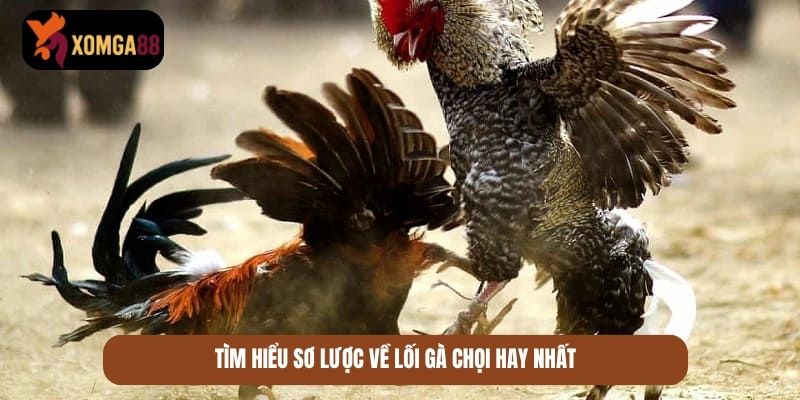 lối gà chọi hay nhất