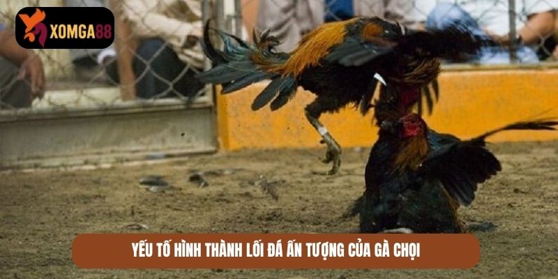 lối gà chọi hay nhất