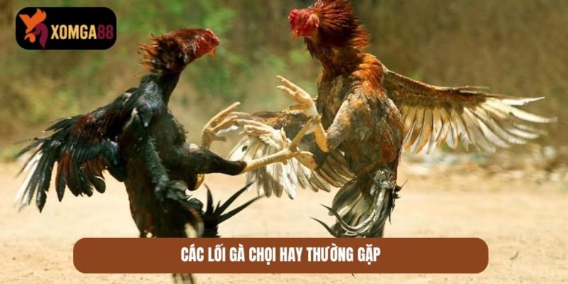 lối gà chọi hay nhất