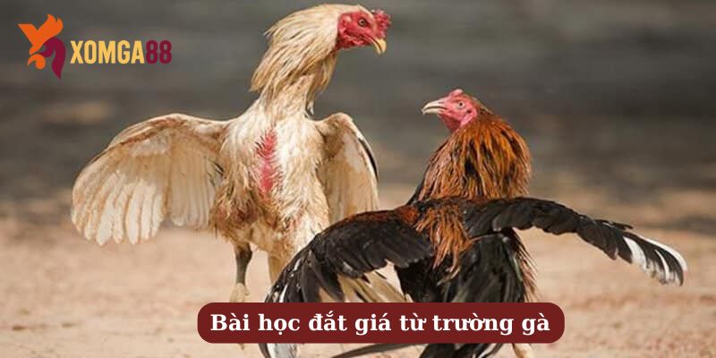 suýt bị quýnh vì hô nhầm tên gà