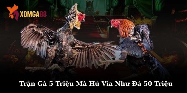 Trận gà 5 triệu mà hú vía như đá 50 triệu