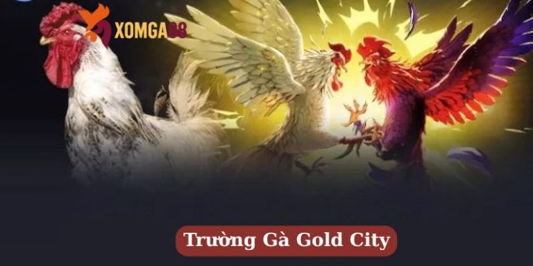 trường gà gold city