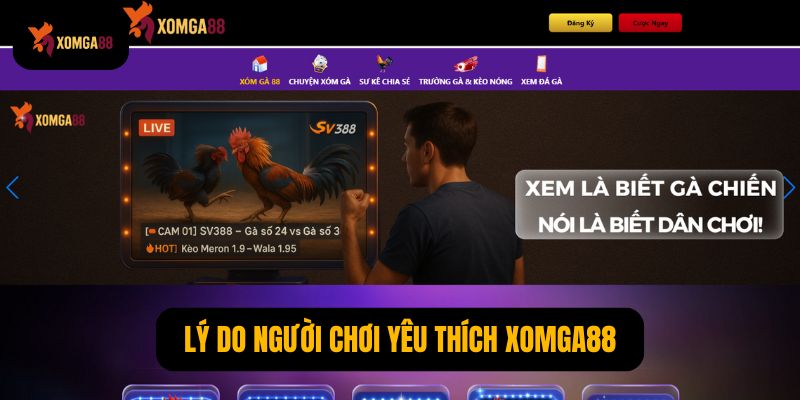 Về Xomga88