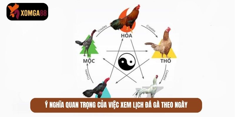 xem lịch đá gà theo ngày