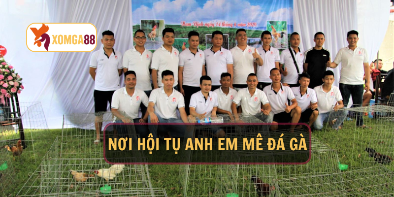 Anh em Xomga88 giao lưu