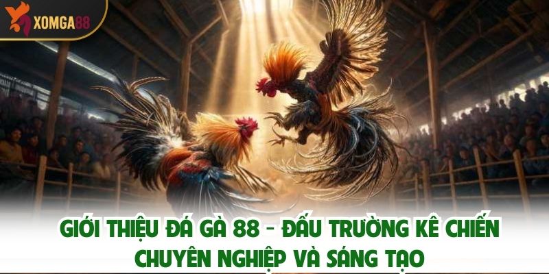 Giới Thiệu Đá Gà 88 – Đấu Trường Kê Chiến Chuyên Nghiệp Và Sáng Tạo