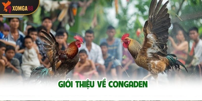 Giới Thiệu Về ConGaDen