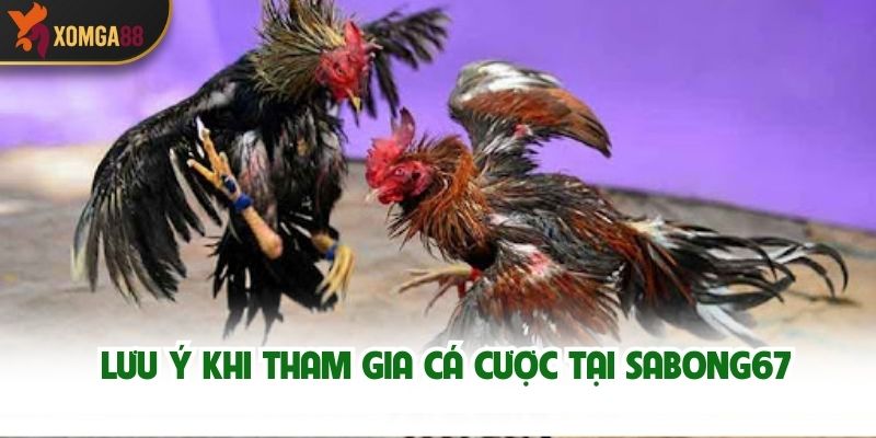 Lưu ý khi tham gia cá cược tại Sabong67