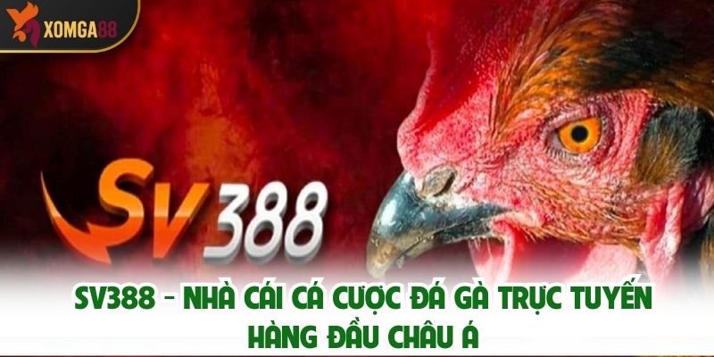 SV388 - Nhà Cái Cá Cược Đá Gà Trực Tuyến Hàng Đầu Châu Á
